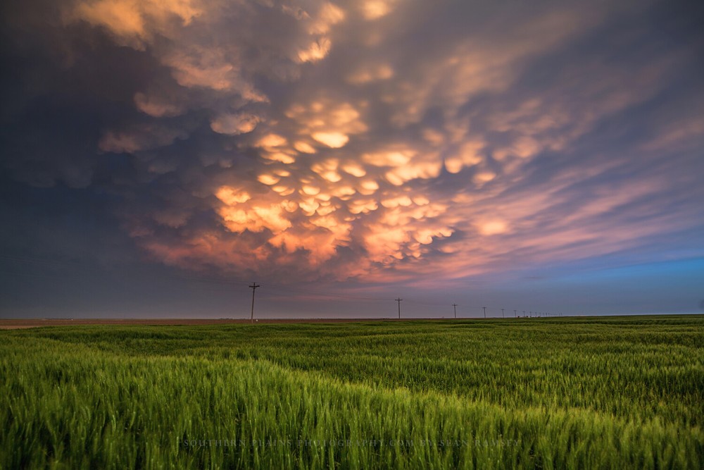 Nature Photography Print – Picture of Mammatus Clouds Over Wheat Field in Kansas