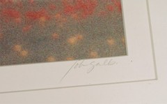 SIGNED TITLED TENDING TULIPS II 26/250 SOFT FOCUS PANORAMIC PHOTOGRAPH WOW !!