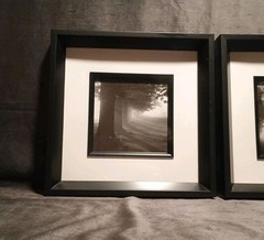 2 Modern Black & White Photography Trees Minimalist Moody 11.25 » Square Frames