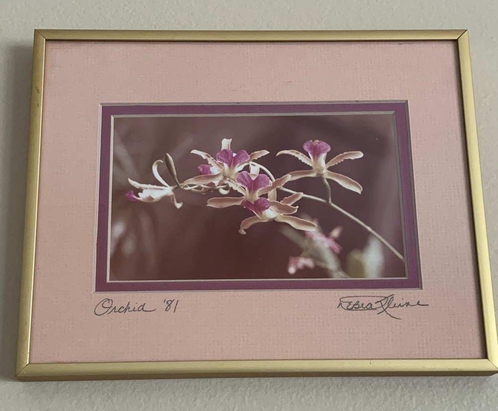 Original Photo Pink Orchid Signed & Framed Estate 1981