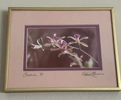 Original Photo Pink Orchid Signed & Framed Estate 1981