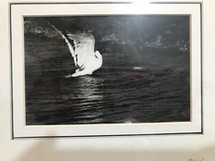 Black and white photograph signed framed 12 x 15 inch bird pond country farm