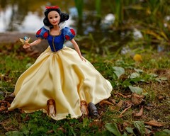 Snow White Visits Gettysburg Photograph