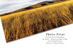Wichita Mountains Photography Print: Oklahoma Wildlife Refuge Landscape Photo