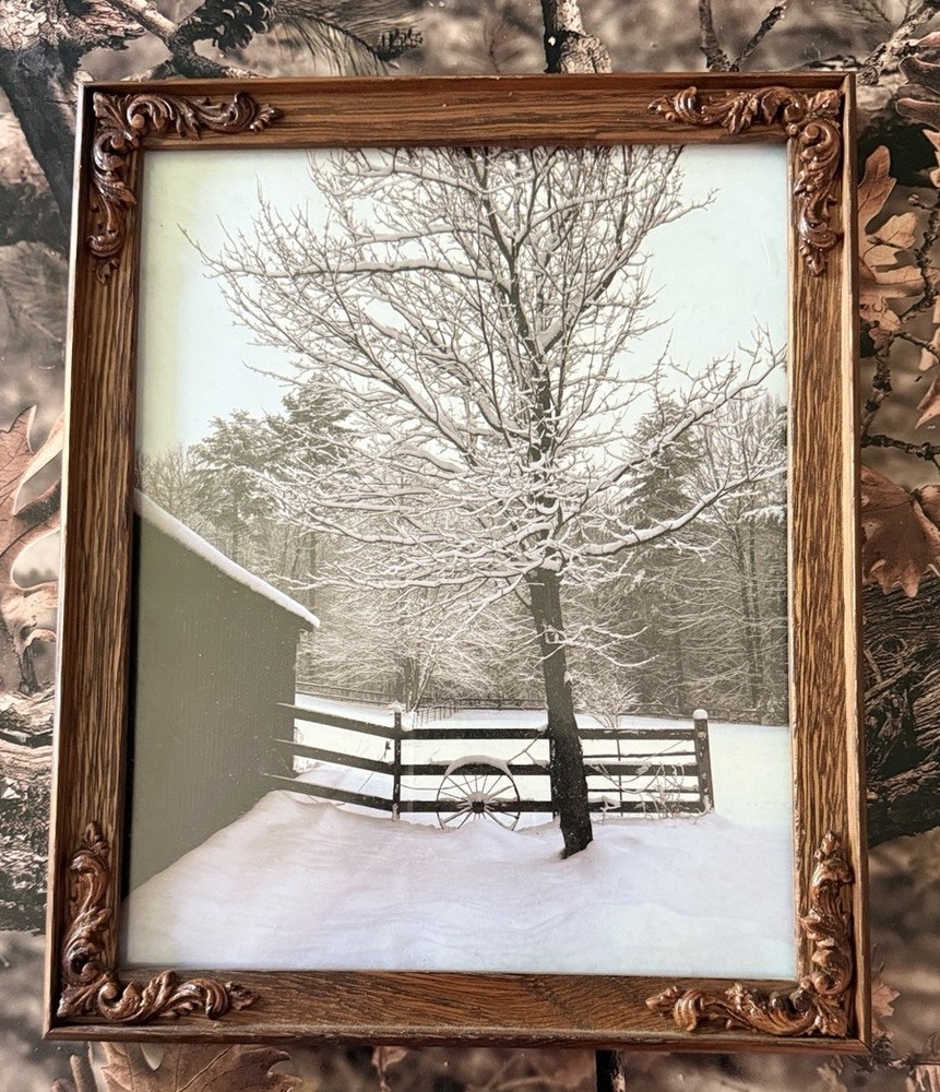 Original photograph, ‘Winter Maple’ by Serene Scenes in Maine, 8×10