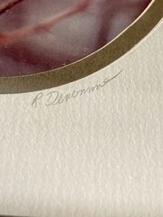 Rick Denomme Bird Photography Set of 4 Framed Cardinal Chickadee Titmouse Signed