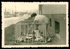 Child in playpen outside in front of skyscraper next to construction site-Erfurt GDR-Photo 9x6cm