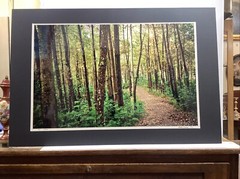 Original Allison Carenza Photograph ( Solace) Ed 2/10 20”x30”