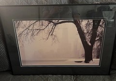 Signed Framed 30×20 Photograph Of Downtown Chicago Winter Gary Steinke