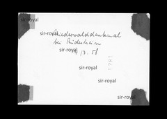 Landscape around the Niederwald monument 1958 in Rüdesheim – 1950s – photo 13x9cm