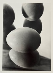 Hans Finsler, Eggs in Mirror II, before May 1929, Photograph from Estate