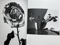 🎈SIGNED w Drawing! Nobuyoshi Araki – HANA-JINSEI, 2002 Japan Limited Ed, Unique