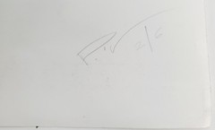P. Detta Signed Color Photograph Lithograph Nintendo Wii Homage Edition of 6