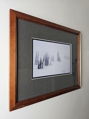 Signed David Whitten Limited Edition 35mm Photograph Print 17.5×14.75 Framed Art