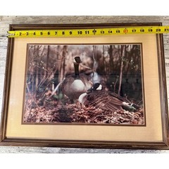 Vintage Framed Canada Geese Print – Rustic Wildlife Wall Art