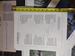 Louisiana: The Bayou State: Limited Edition Portfolio By C.C. Lockwood