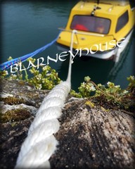INTERESTING PERSPECTIVE OF YELLOW BOAT, ROPE/DOCKED! 8 x 10 Photo IRELAND!