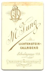Photograph M. Jung, Lichtenstein, Schulgasse 175, Young Boy in Black A
