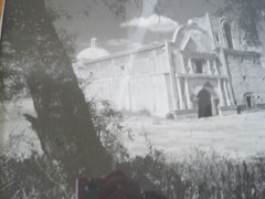 Chuck Abbott Photo Black & White Architecture Church w/ Large Tree 16″ x 20″