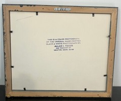 Allan Teger Photo Fortune Teller Machines Arcade Machines Matted Framed