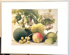 Jill Bedford Photography: Apple (2002), Signed, Archival Quality 28in X 22in