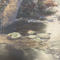 AQ Fred Thompson “Woodland Symphony” Original Hand Tinted Photograph Signed 7×9”
