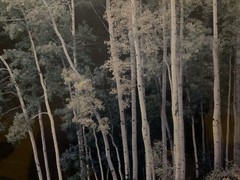 THOMAS D MANGELSEN Original Photograph