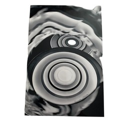 The Circle Game Annette Globits B&W Photo 2016 Signed By Artist 12” X 18”