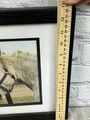 Jennifer Meyers Equestrian Photography «Horse Kiss» Framed & Matted Wall Art