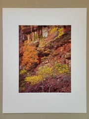 Richard Garrod, color 10×12 image on 16x 20 matte, photography art original