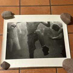 Janine Gordon Photograph Mosh Pit 20″x24″ Print Randalls Island Whitney Museum