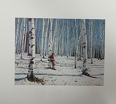 12 Vintage Vermont Photo Prints 11×14 Ready to Frame