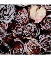 Nan Goldin – RARE RUG- Wine and Roses, 2014 Wool – & bamboo silk 86×86 used