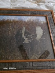 Tim DePuydt Framed Moose Photo Print 18×31 Rustic Montana Cabin Wildlife Art VTG