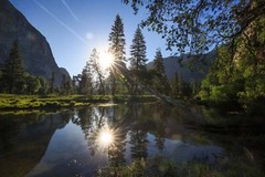 Yosemite Photography Print: California National Park Merced River Nature Photo