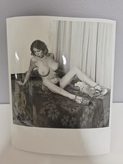 VINTAGE Publishers Photo 8X10 1960’S ART POSED BUXOM NUDE Doreen Cormier.