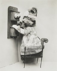 dog puppy pup baby art print Harry Whittier Frees 8×10 vintage photo picture #27