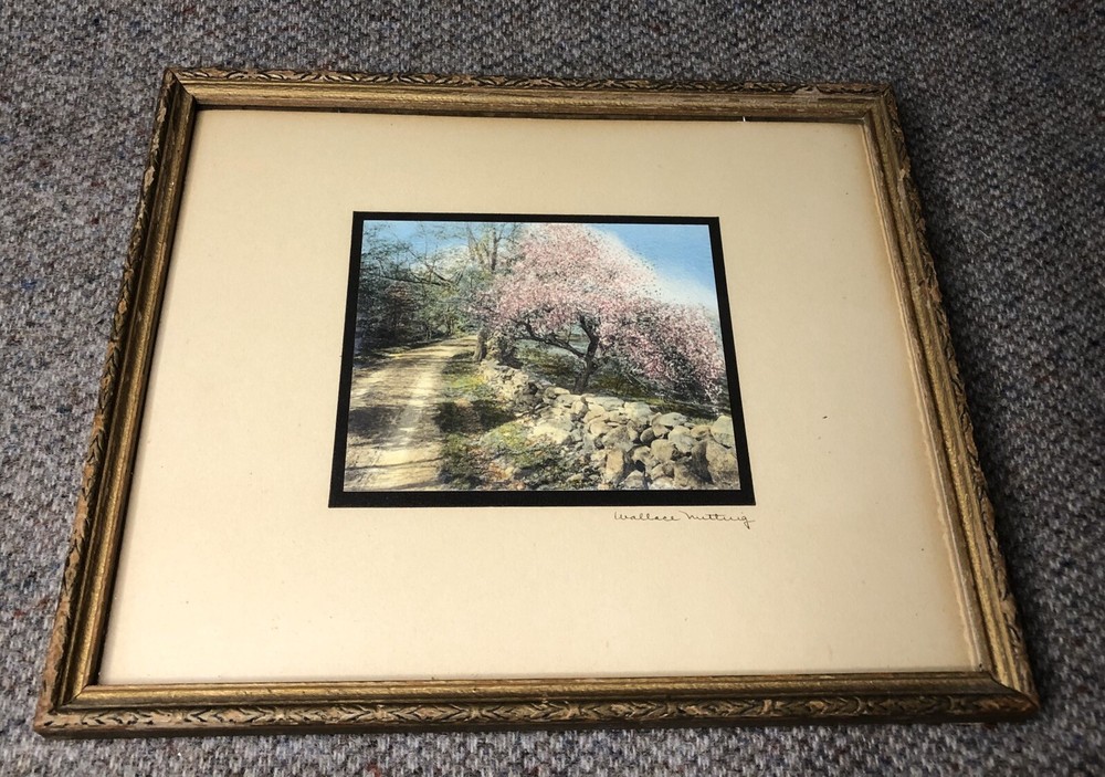 VINTAGE SIGNED WALLACE NUTTING HAND COLORED PHOTO DIRT ROAD ROCK WALL BLOSSOMS