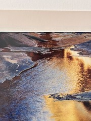 ELIOT PORTER «River edge at sunset, below Piute Rapids» (1962) Signed C-Print