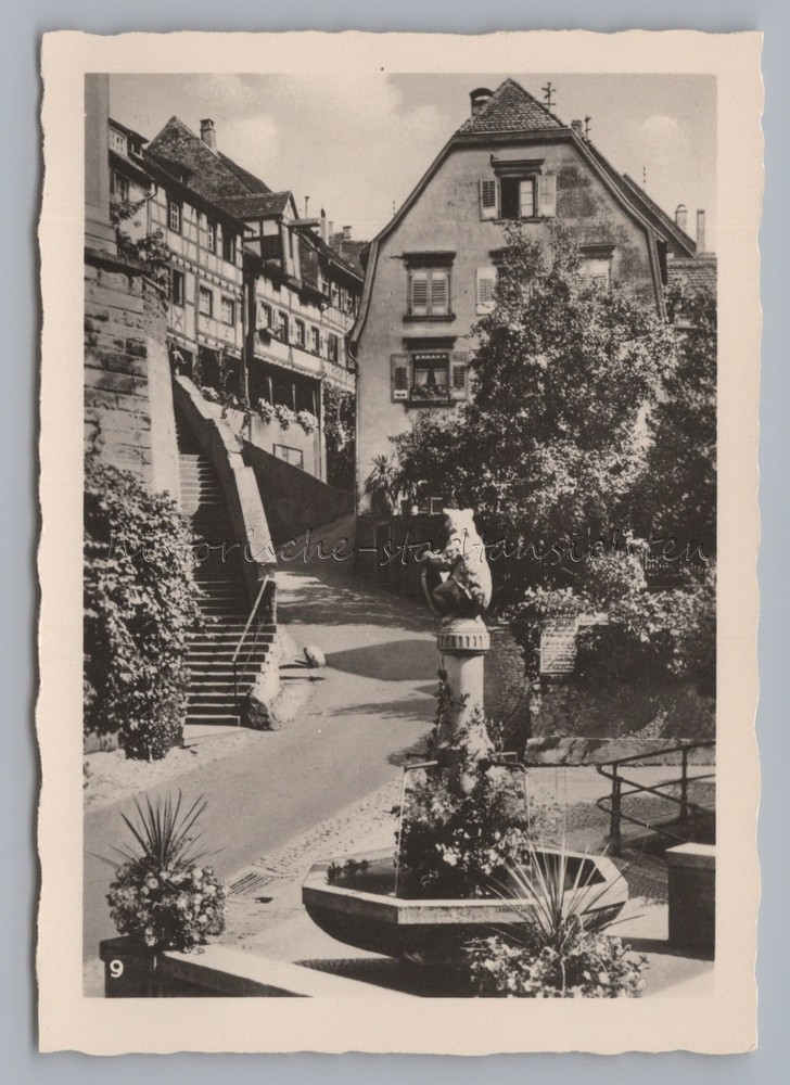 Meersburg Lake Constance 1953 – Bear Fountain – Old Photo 1950s