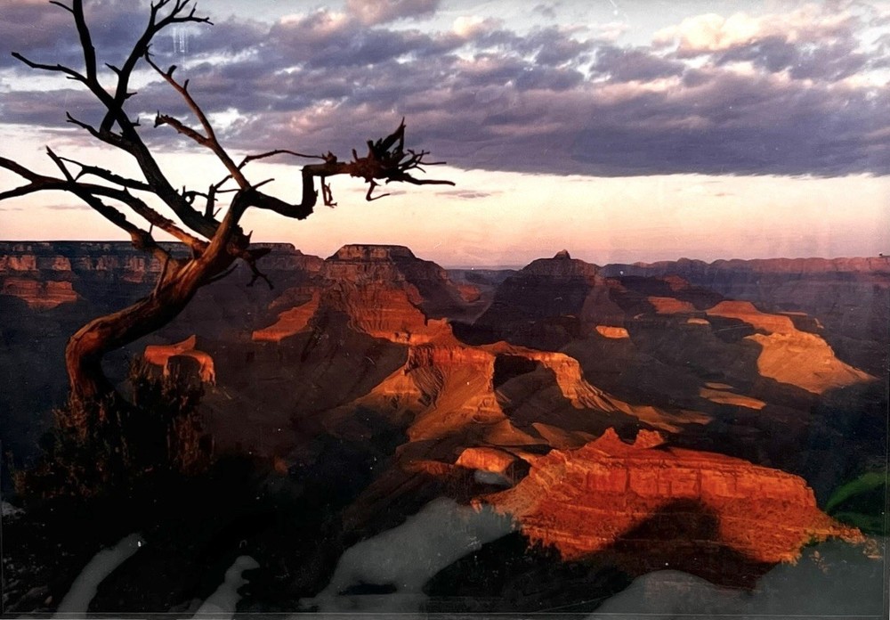 Canyon Sunset Signed Photo The Grand Canyons Landscape 4.5 x 6.5 Matted 8 x 10