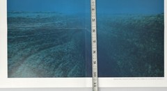 Noguchi Rika (b. 1971) Art Announcement Card / Fold Out Poster Print 2005