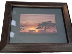 Artwork SUNRISE ELEPHANTS Original James Green Peaceful Nature Photograph 10×12