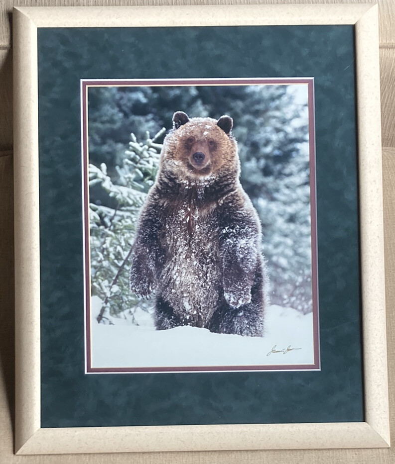 Millcreek Wildlife Reflections Signed James T Jones Photograph Grizzly Bear Snow
