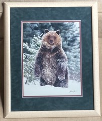 Millcreek Wildlife Reflections Signed James T Jones Photograph Grizzly Bear Snow