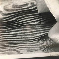 ANSEL ADAMS Art Photo ROSE and DRIFTWOOD 1932 Still Life 17×14 Inches
