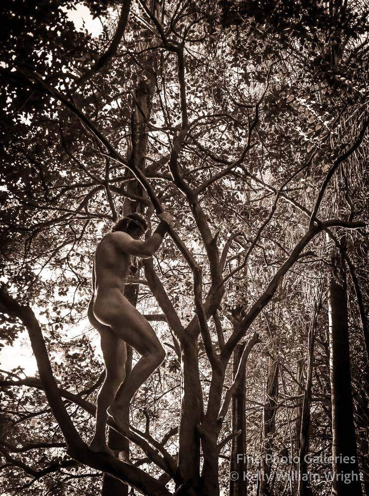 Original Male Nude KELLY WILLIAM WRIGHT Song Of The Trees #24 Signed Photo 12×15