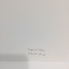Original Photogravure By Sandi Daniel ( Tiger Lily) Limited Ed. 2002 19” X 13”