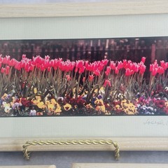 Signed Joseph Barnett Floral Photo Prints Set Maine Artist Framed Garden 6×12