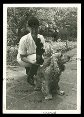 Cocker Spaniel Dog and Rider – Photo Postcard 11x15cm